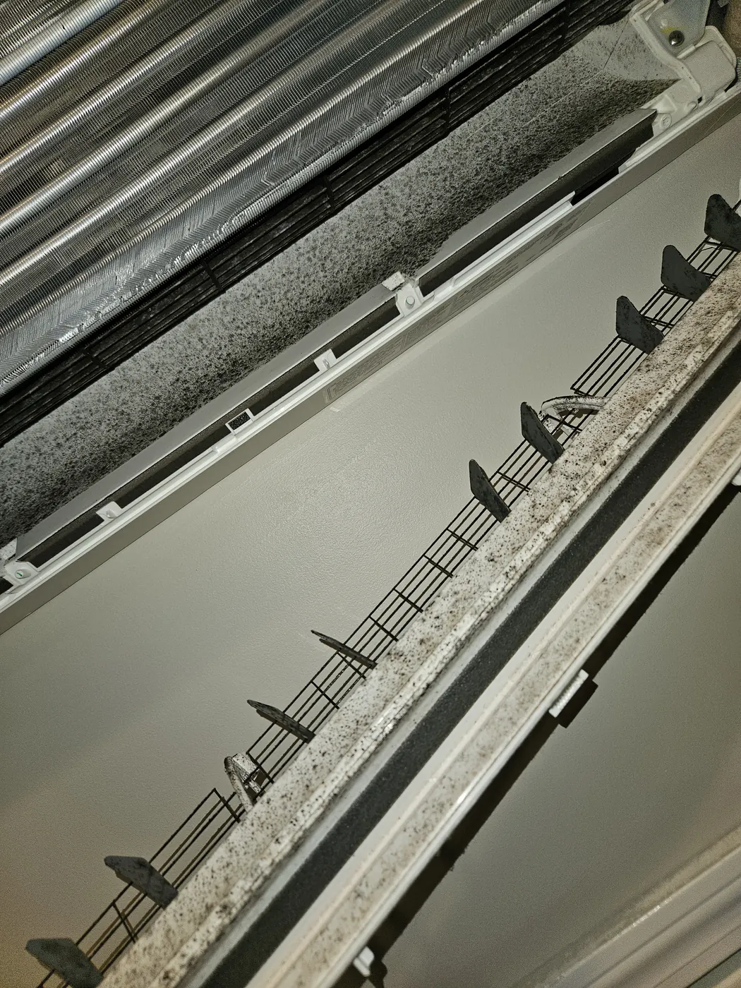 Mold and dust across the vane and filter of a Mitsubishi mini-split in Bedford, MA before cleaning