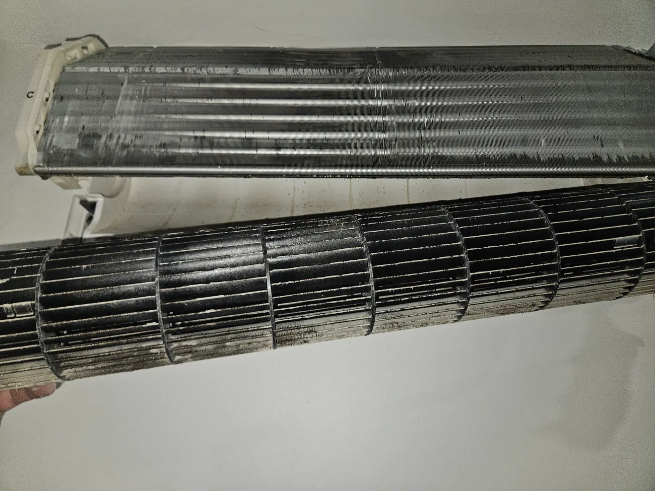 Blackened blower wheel held below the evaporator coil of a Brighton MA mini-split