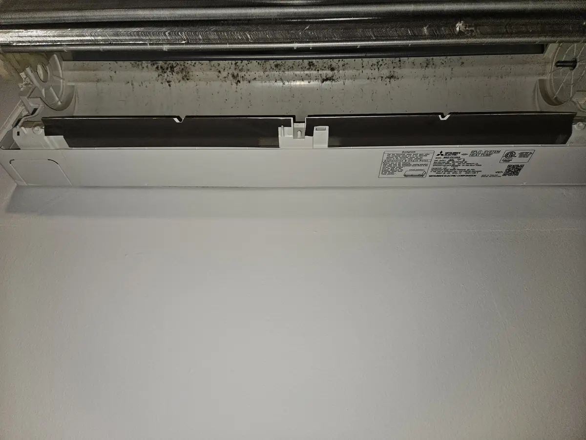 Mold across the drain pan of a Mitsubishi mini-split in Concord, MA before cleaning