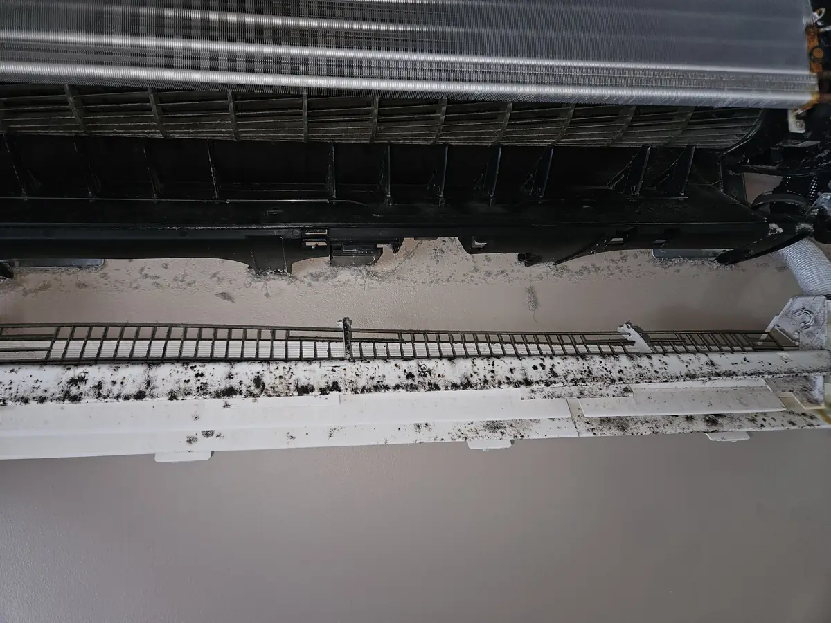 Mold growing through the filter mesh of a mini-split in Franklin, MA
