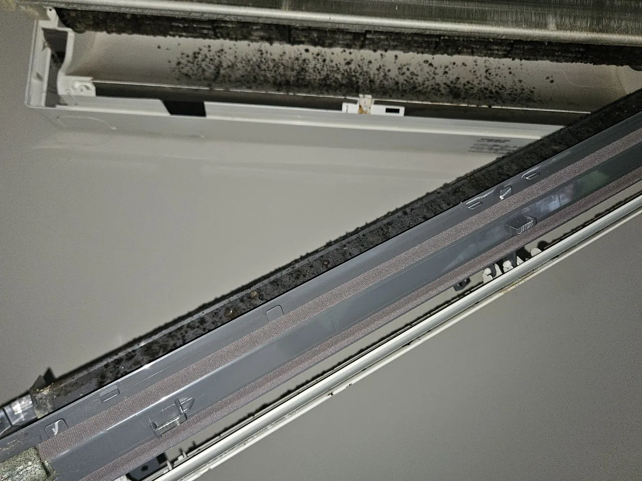Mold across the drain pan of a Mitsubishi mini-split in Lexington, MA before cleaning