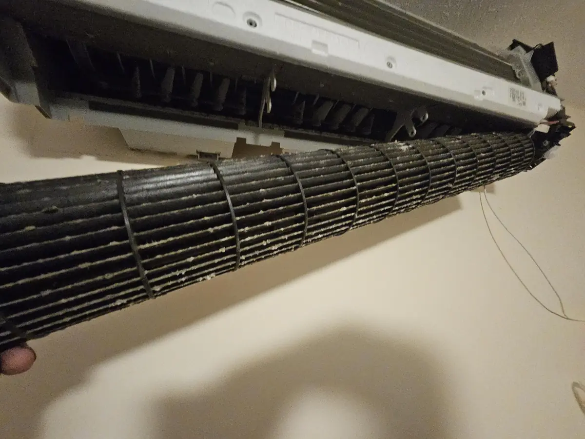 Crusted blower wheel removed from the first Daikin head in Londonderry, NH
