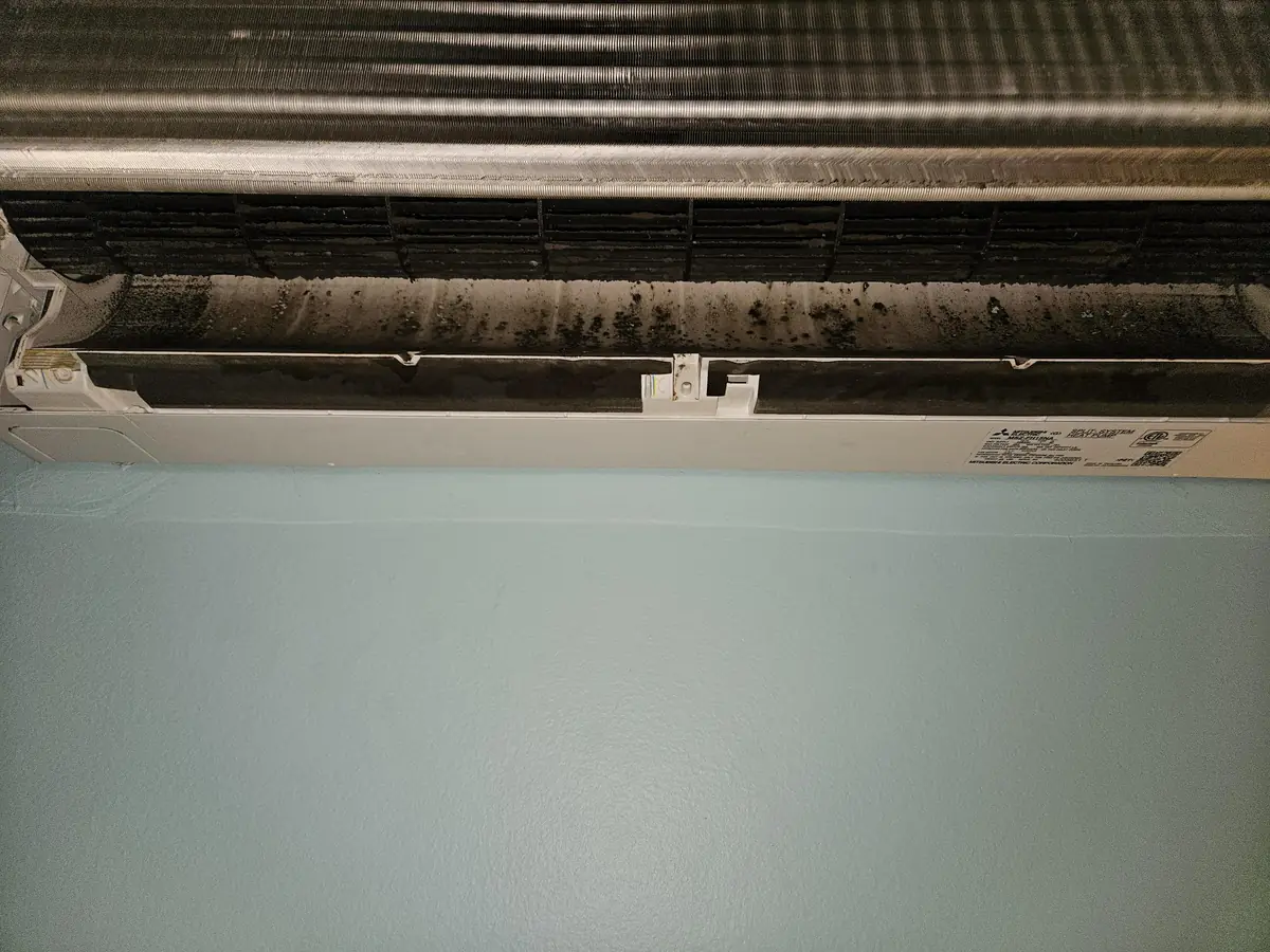 Mold speckled across the blower wheel and vanes of a Mitsubishi heat pump in Raymond, NH before cleaning